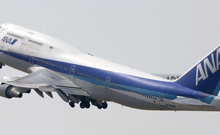Un passager d'un vol All Nippon Airlines (ANA) a eu une banane en guise de repas sans gluten