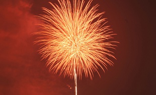 Feu d'artifice. Illustration.