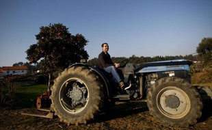 "Un agriculteur ça n'a jamais faim", s'exclame avec fierté le jeune César Teixeira en cueillant des citrons sur les hauteurs d'Amarante, région du nord du Portugal où, en réponse à la crise, ils sont de plus en plus nombreux à produire fruits, légumes et surtout des champignons.