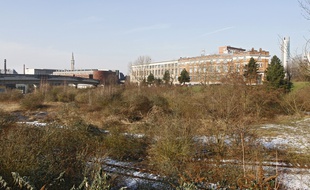 La friche Saint-Sauveur en 2012.