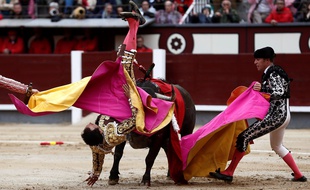 Le torero El Cid a été encorné par un taureau le 8 juin 2018 à Madrid