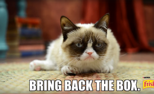 Capture d'écran d'une publicité Friskies avec Grumpy Cat.