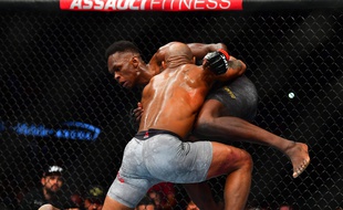 Des combattants de MMA