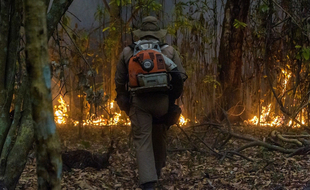 Un pompier lutte contre un incendie dans l'État brésilien de Mato Grosso, à la frontière avec la Bolivie, en septembre 2020.