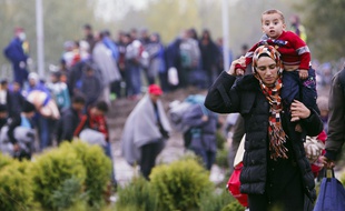 Des migrants le long de la frontière entre la Hongrie et la Croatie le 16 octobre 2015.