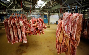 Un des abattoirs industriels de la Manche, à Sainte-Cécile
