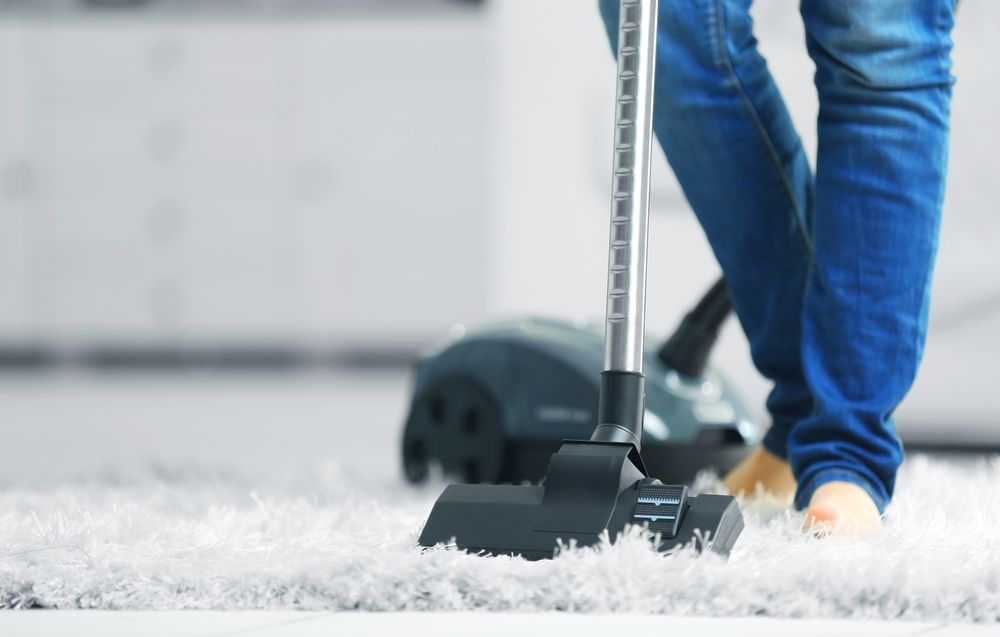 Quel est le meilleur aspirateur traineau