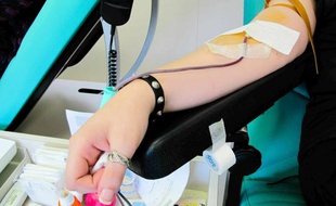 Entre 450 et 480 ml de sang sont prélevés sur chaque donneur.
