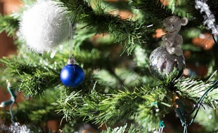 Sapin de Noël - Illustration.