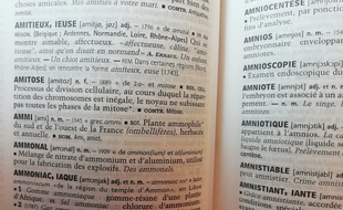Amitieux. Qui se montre aimable, affectueux.