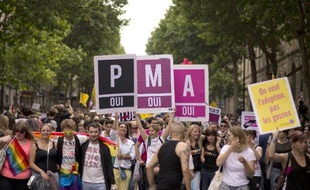 La PMA (procréation médicalement assistée) réclamée par les participants à la gay pride le 29 juin 2013 à Paris