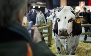 Au Salon International de l'Agriculture de Paris, le 24 février 2013.