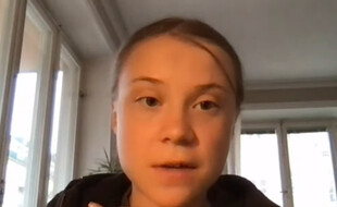 La militante écologiste suédoise Greta Thunberg en visioconférence devant le Congrès américain le 22 avril 2021.
