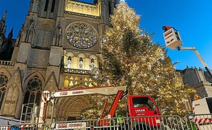 Le grand sapin de la place Pey-Berland fera pace à des illuminations sur la cathédrale