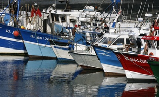 Des bateaux de pêche français (illustration).