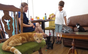 Des cafés à chats ont ouvert dans plusieurs villes en France, ici à Paris.