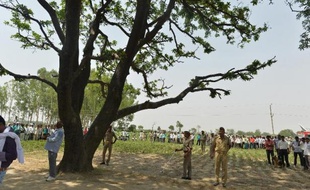 La police indienne garde l'arbre où étaient suspendus les corps de deux jeunes filles de 14 et 15 ans violées et pendues dans l'Etat d'Uttar Pradesh le 31 mai 2014