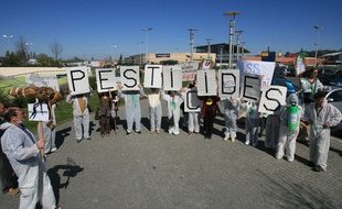 Manifestation des opposants ecologistes a l'utilisation des pesticides devant un hypermarche de la region de Toulouse. Pancarte abeille.