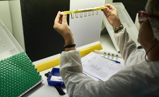 Une laborantine travaille à la production de vaccins sur le site Sanofi Pasteur le 7 juillet 2016 à Marcy-l'Etoile près de Lyon