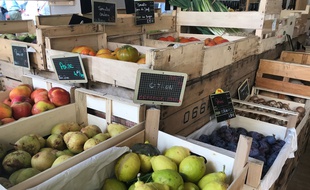 Dans la rue Valperga à Nice, 150 convives ont partagé un repas 100 % local.
