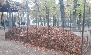 Les cages à feuilles mortes dans le jardin du Luxembourg
