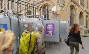 Le Parti animaliste ne passe pas inaperçu dans ces législatives 2017 avec son affiche électorale mettant en vedette un chaton.