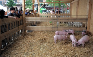 La ferme en ville sur la place Kléber de Strasbourg. (Archives)