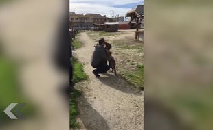 Un chien retrouve son maître après 3 ans de séparation - Le Rewind