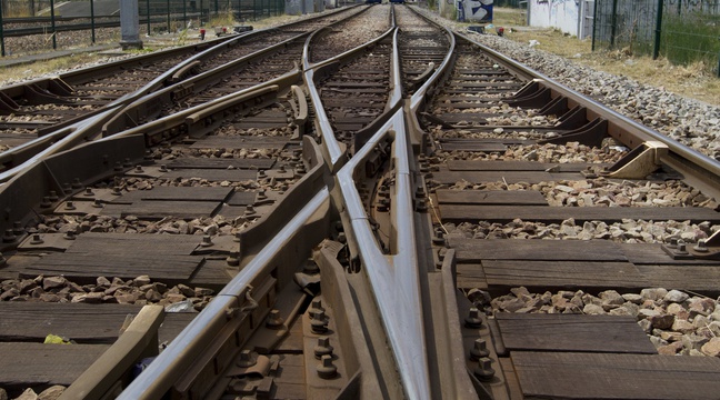 Rail