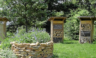 Le site Urbanbees de Saint-Priest a accueilli une centaine d'espèces.