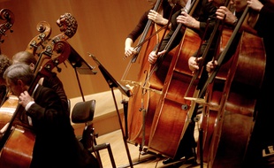 26 musiciens de l'ONL ont improvisé un petit concert en visioconférence.