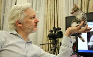 Julian Assange et son chat.