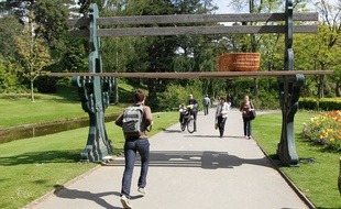 Le Jardin des plantes, à Nantes (illustration).