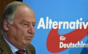 Alexander Gauland, tête de liste régionale d'Alternative pour l'Allemagne (AfD), le 1er septembre 2014 à Saxony
