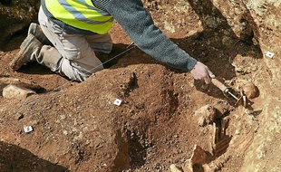 Des ossements ont notamment
été découverts par les archéologues.