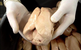 Le Japon a temporairement suspendu vendredi soir les importations de volailles françaises et des produits culinaires associés, dont le foie gras très apprécié, à la suite de l'apparition du virus H5N1 de la grippe aviaire dans un élevage du centre de la France.