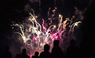 Le feu d'artifice de Vertou au parc du Loiry.