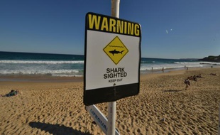 Un panneau indiquant la présence de requins sur une plage de Newcastle en Nouvelle-Galles du Sud le 17 janvier 2015