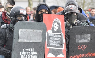 Manifestation contre «les violences policières» à Nantes le 21 février 2015.