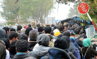Des migrants et réfugiés traversent la frontière entre la Serbie et la Croatie, à Berkasovo, le 26 octobre 2015 en Serbie