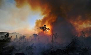 Incendie au Brésil, dans la forêt amazonienne, en août 2020.