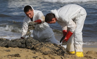 Des personnes nettoient une plage du Var touchée par la pollution aux hydrocarbures