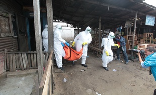 Des médecins évacuent un patient mort du virus Ebola à Monrovia au Liberia.