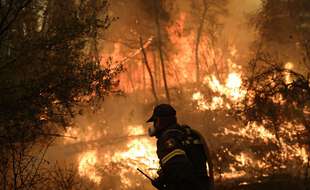 Un pompier lutte contre les flammes sur l'île d'Eubée.
