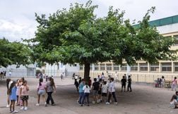 Comment aider son enfant à lutter contre le racisme et l’antisémitisme ?