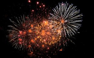 Un feu d'artifice. Illustration.
