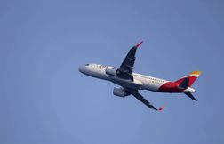 Un avion fait demi-tour en urgence après avoir percuté un « gros oiseau »