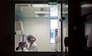 Après le cancer du sein et le cancer colorectal, la Haute Autorité de santé (HAS) recommande aux pouvoirs publics la mise en place d'un dépistage organisé du cancer du col de l'utérus, qui touche chaque année en France 3.000 nouvelles femmes et en tue plus de 1.000.