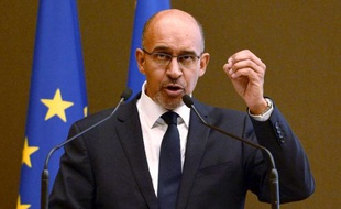 Harlem Désir le 16 novembre 2013 lors d'un discours devant le conseil national à Paris