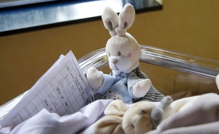 Le doudou s'est imposé comme un cadeau de naissance et en ce moment, c'est le lapin qui a la cote.